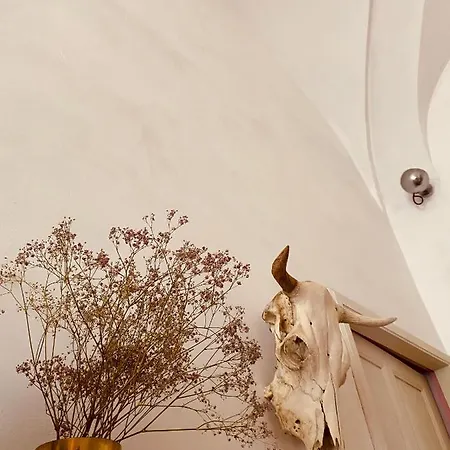 Apartmán Du Gouverneur Algajola (Corsica)